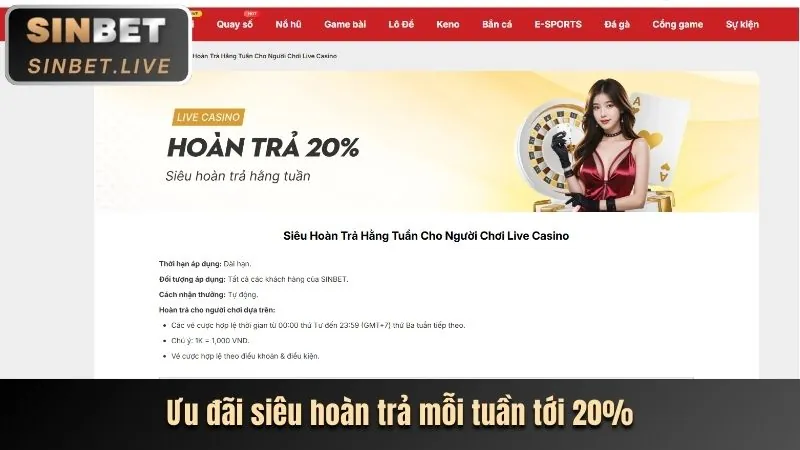 Chương trình VIP shbet casino